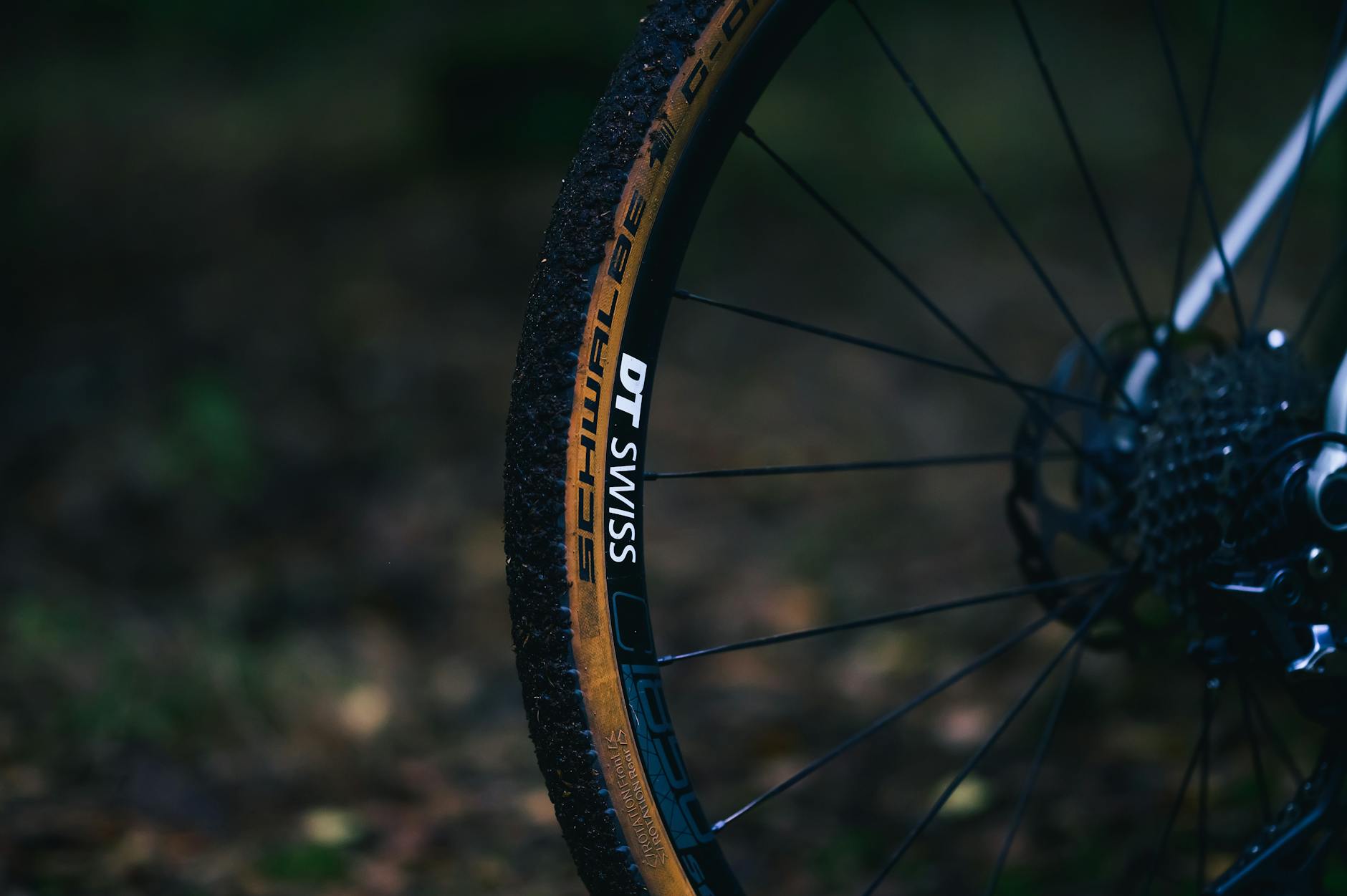 Zbliżenie koła rowerowego z oponą bezdętkową w plenerze